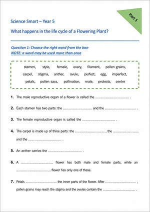 Grade 5 Plant Life Cycle — Printable No-Prep Worksheet