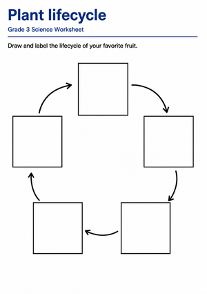 Grade 3 Plant Life Cycle — Printable No-Prep Worksheet