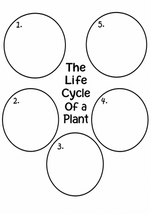 Grade 3 Plant Life Cycle — Printable No-Prep Worksheet