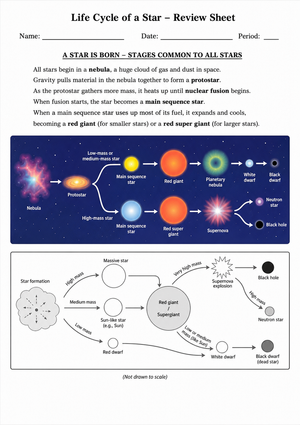 Life Cycle of a Star Review Worksheet | Essential Grade 8-11