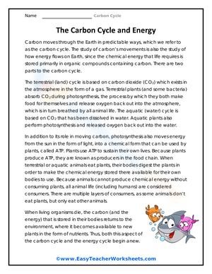 Explore the Carbon Cycle and Energy Worksheet