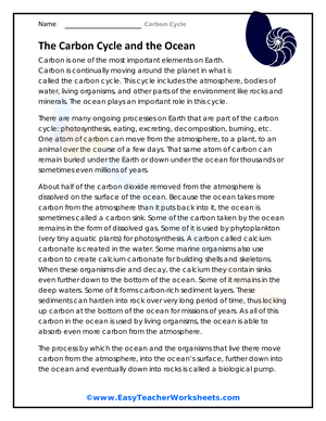 The Carbon Cycle and the Ocean Worksheet