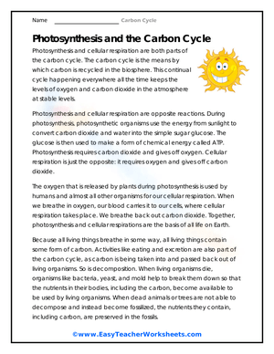 Photosynthesis and the Carbon Cycle Worksheet
