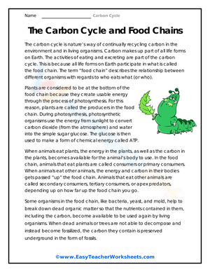 Carbon Cycle and Food Chains Worksheet