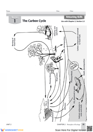 Carbon Cycle Diagram for Ecology Education
