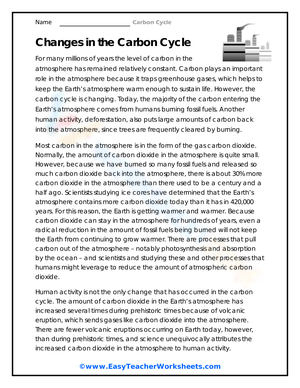 Changes in the Carbon Cycle: An Exploration
