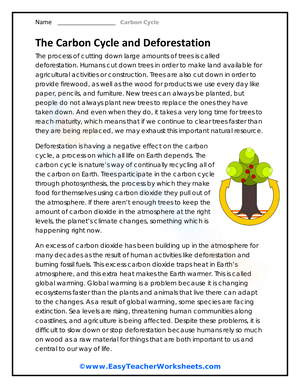 Carbon Cycle and Deforestation Worksheet