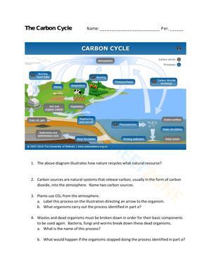 Carbon Cycle Practice Worksheet for Students