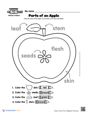 Parts of an Apple Coloring Page