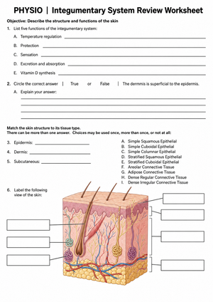 Integumentary System Review | Essential Grade 9 Biology