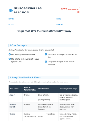 Tutorial Work Mouse Lab Practical