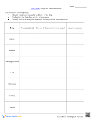 Grade 11 Mouse Party Answers Worksheets 2024