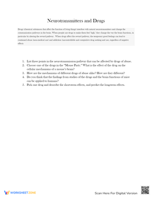 Neurotransmitters and Drugs Worksheet