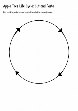 Apple Tree Life Cycle: Cut and Paste