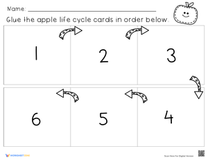 Life Cycle of an Apple Sequencing