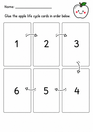 Life Cycle of an Apple Sequencing