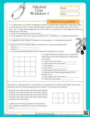 Solve Dihybrid Cross Problems