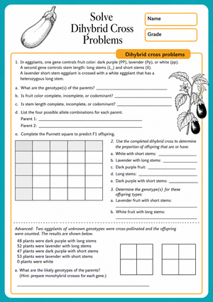 Dihybrid Cross Practice Worksheet | Essential Grade 9-11