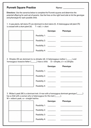 Punnett Square Practice Worksheet | Grade 9-11 Ready