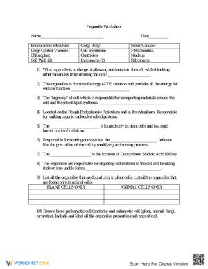 Explore the Organelle Worksheet