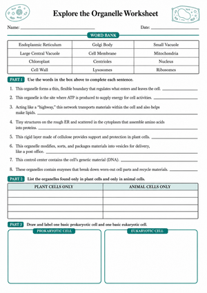 Essential Cell Organelle Worksheet | Grade 8-10 Science