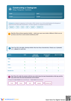 Practice Constructing a Cladogram