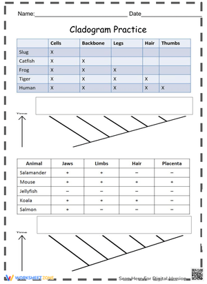 Free Collection Of Cladogram Worksheets For Students