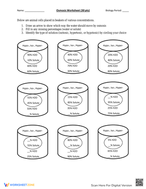 Osmosis and Water Movement Worksheet