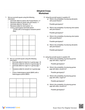 Dihybrid Cross Genetics Worksheet - Punnett Squares