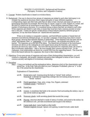 Making Cladograms: Understanding Evolutionary Relationships