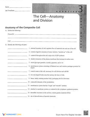 Grade 8 Anatomy of The Composite Cell Worksheets 2024