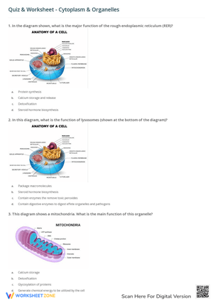 Grade 9 Anatomy of The Composite Cell Worksheets 2024