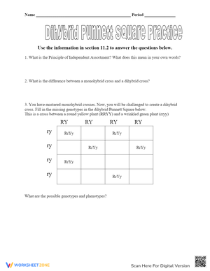 Dihybrid Cross Practice: Genetics Worksheet