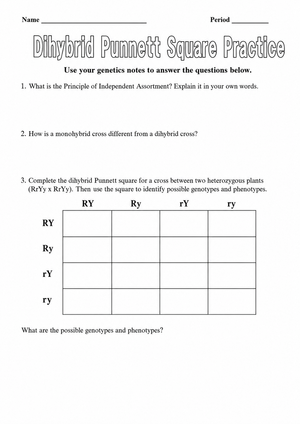 Printable Dihybrid Cross Worksheet | Grade 9-11 Biology