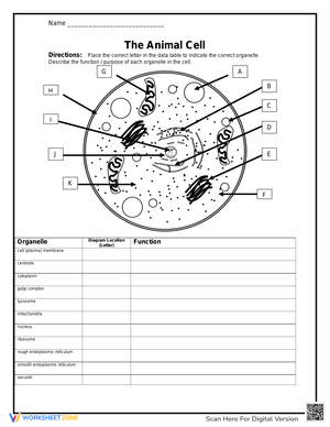 Grade 9 Anatomy of The Composite Cell Worksheets 2024
