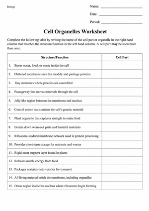 Grade 9 Cell Organelles — Printable No-Prep Worksheet
