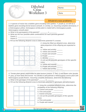 Dihybrid Cross Worksheet: Genetics Practice