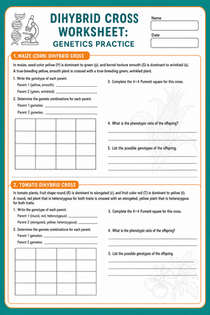 Essential Dihybrid Cross Practice | Grade 9-11 Biology