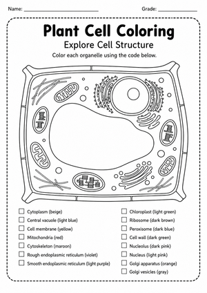 Essential Plant Cell Coloring Worksheet | Grade 8-10