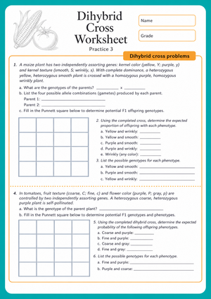 Printable Dihybrid Cross Worksheet | Grades 9-11 Biology