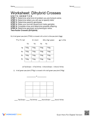 Dihybrid Crosses: Genetics Worksheet