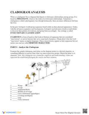 Free Collection of Cladogram Worksheets for Students