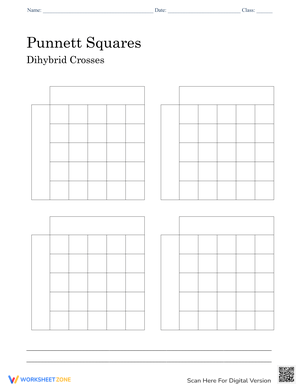 Punnett Squares: Dihybrid Cross Worksheet