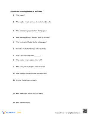 Anatomy and Physiology: Comprehensive Study Guide