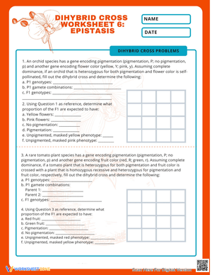 Dihybrid Cross: Practice Problems