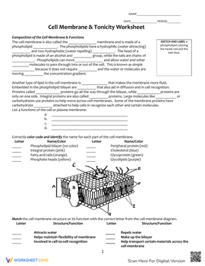 Cell Membrane and Tonicity: Worksheet