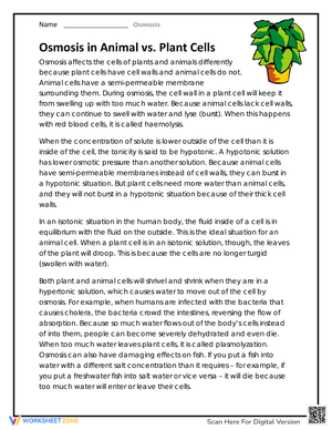 Osmosis in Animal vs. Plant Cells: Worksheet