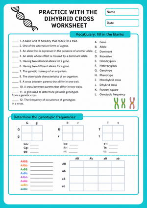 Printable Dihybrid Cross Worksheet | Grade 9-11 Biology
