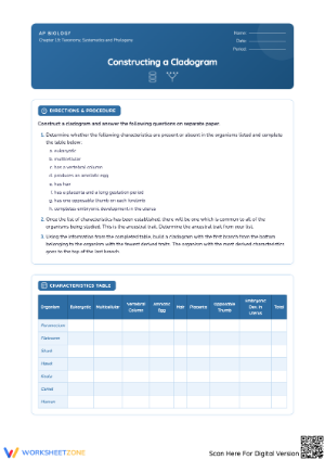 Cladogram Construction: Activity Worksheet