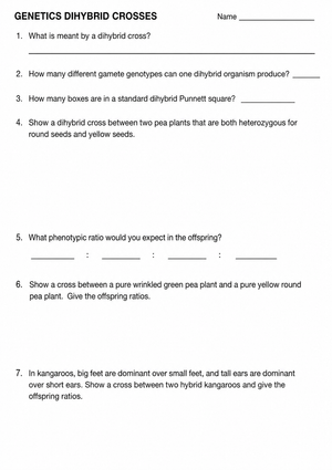 Essential Dihybrid Crosses Worksheet | Grade 10 Biology